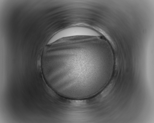 X0000088431281200706121444