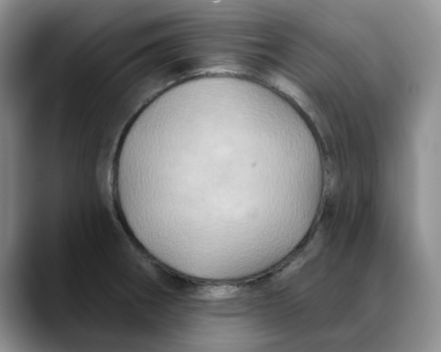 X0000088431282200706121444