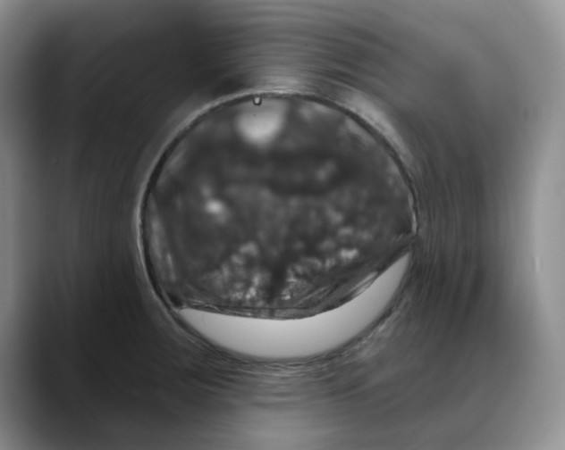 X0000088431283200706121444