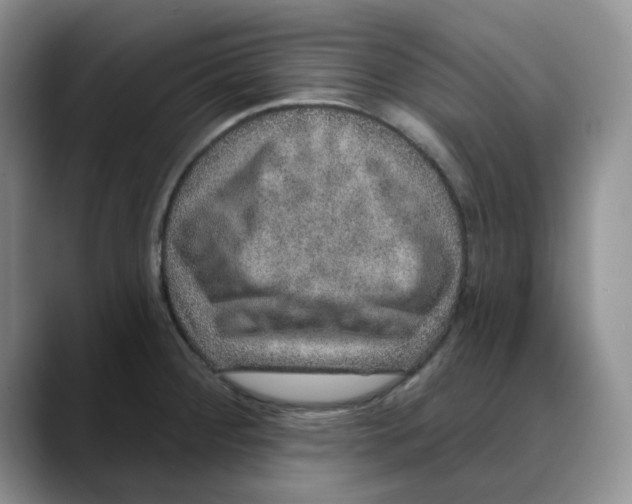 X0000088431284200706121444