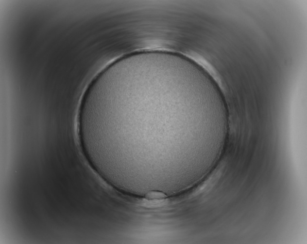 X0000088431285200706121444