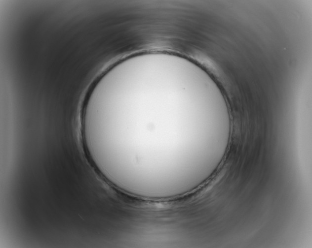 X0000088431286200706121444