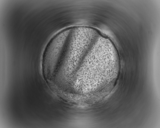 X0000088431288200706121444