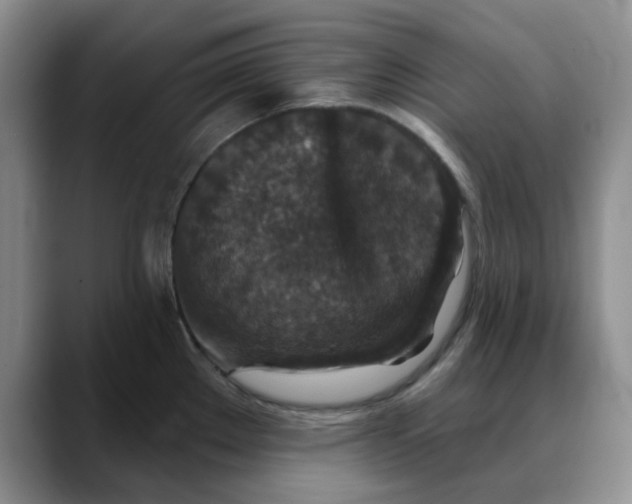 X0000088431289200706121444