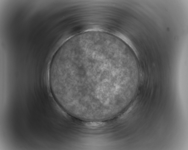 X0000088431290200706121444