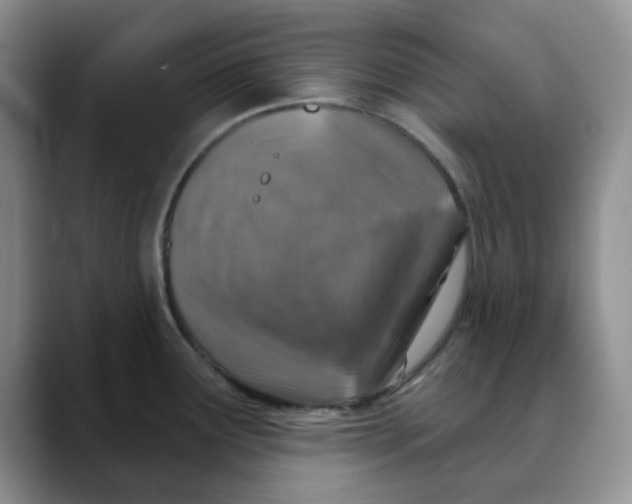 X0000088431291200706121444