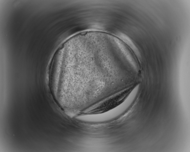 X0000088431292200706121444