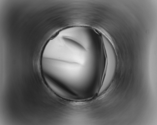 X0000088431293200706121444