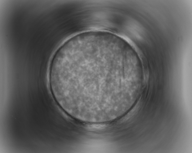 X0000088431294200706121444