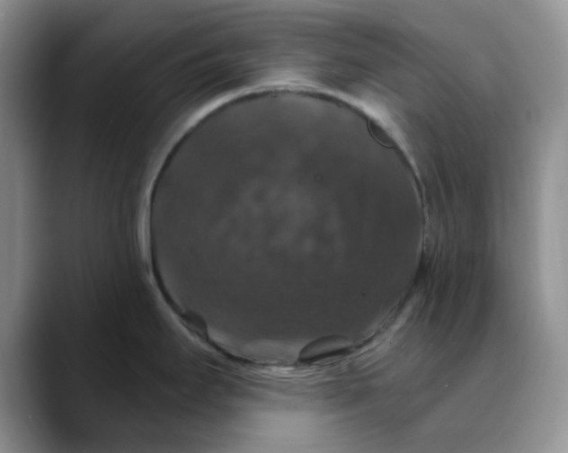 X0000088431295200706121444