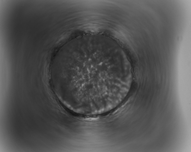 X0000088431297200706121443