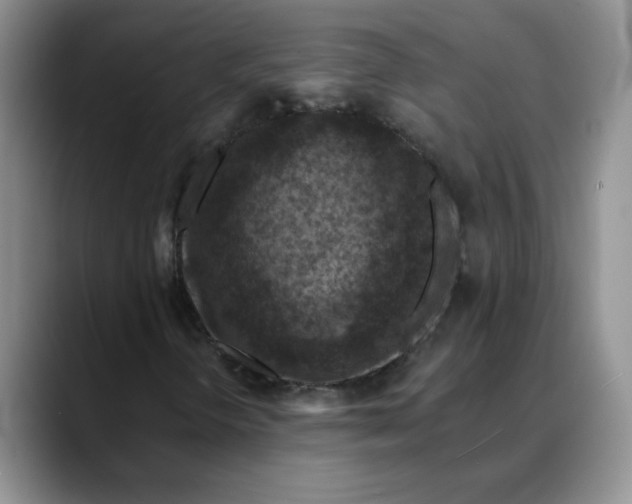 X0000088431298200706121443