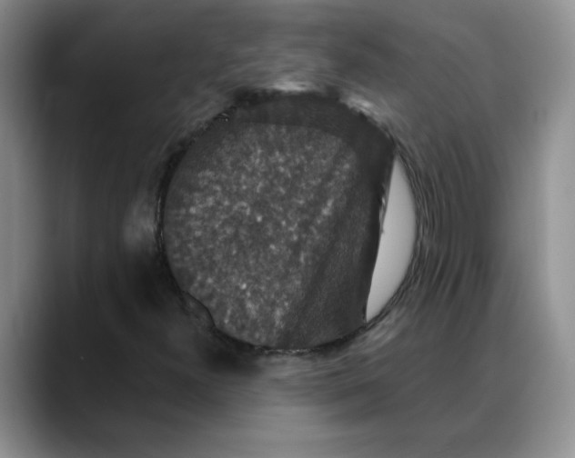 X0000088431300200706121443