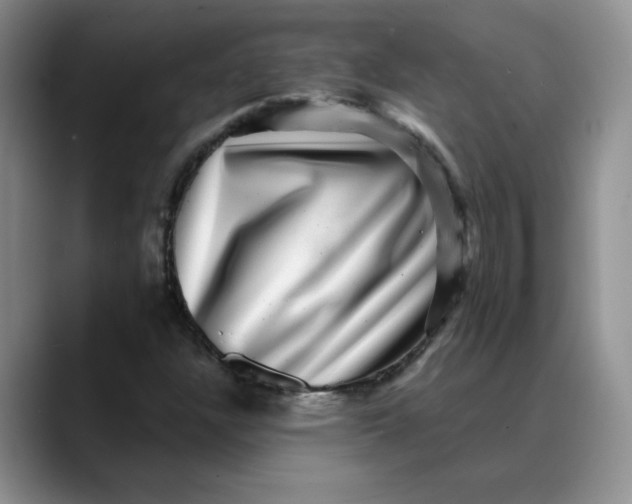 X0000088431304200706121443