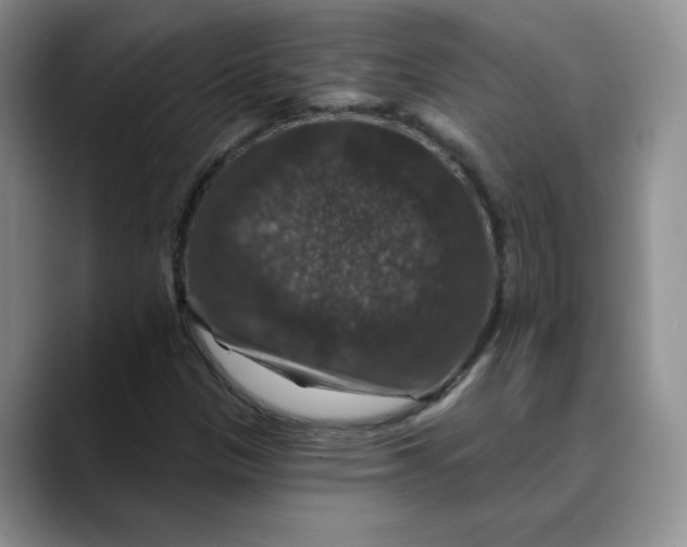 X0000088431305200706121443