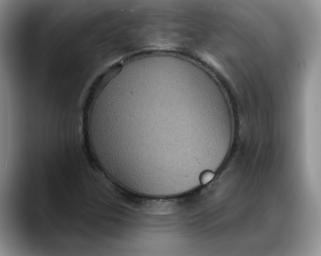 X0000088431307200706121443