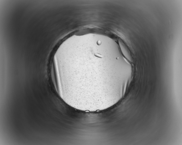 X0000088431308200706121443