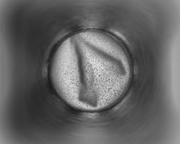 X0000088431309200706121443