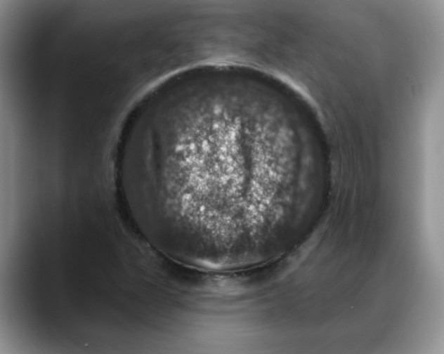 X0000088431311200706121443