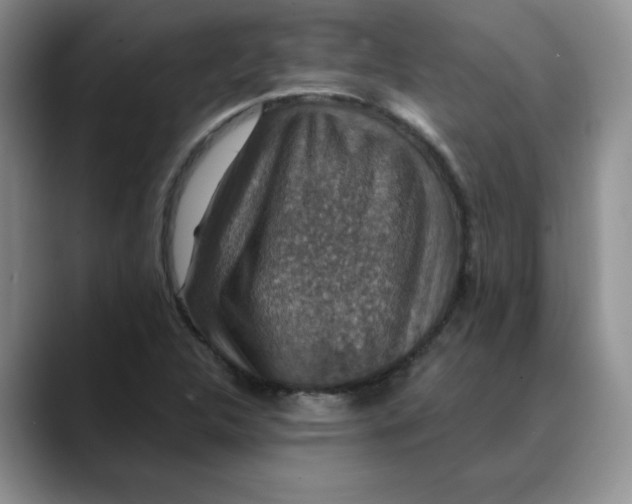 X0000088431312200706121443