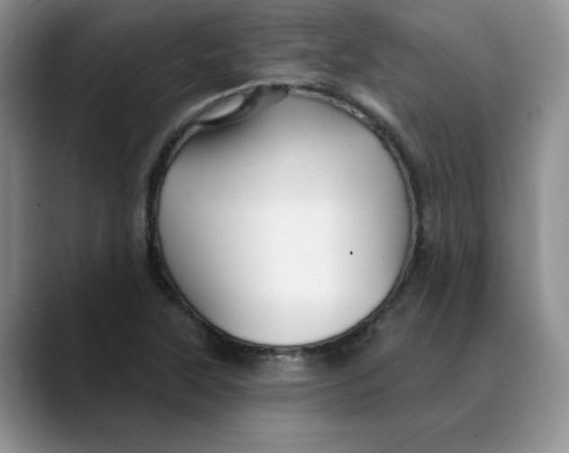 X0000088431315200706121443