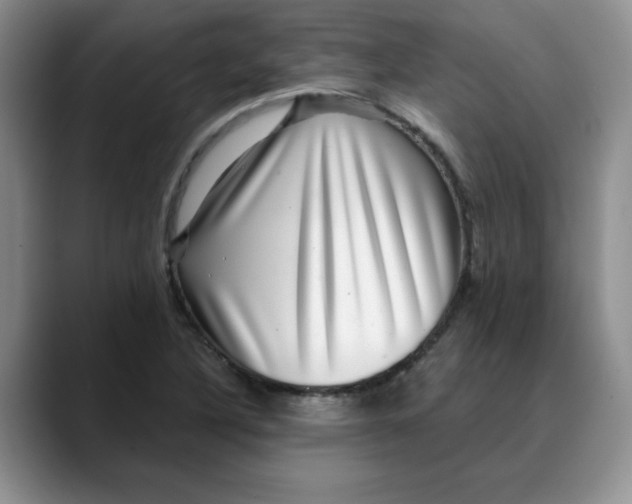 X0000088431316200706121443