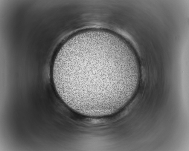 X0000088431318200706121443