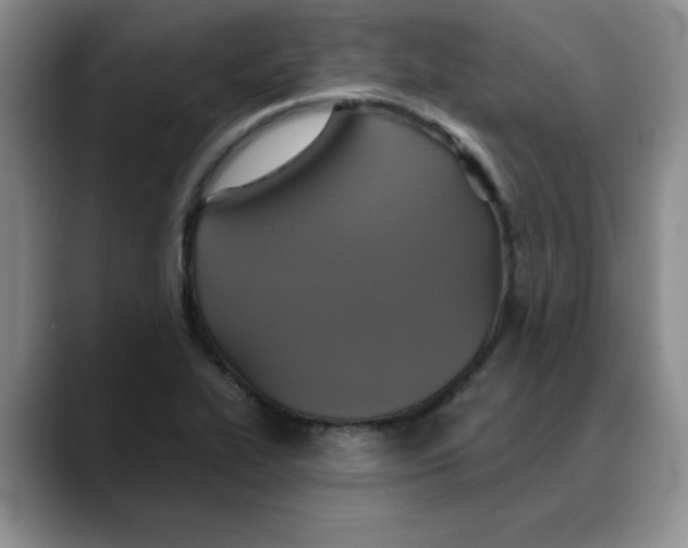 X0000088431319200706121443