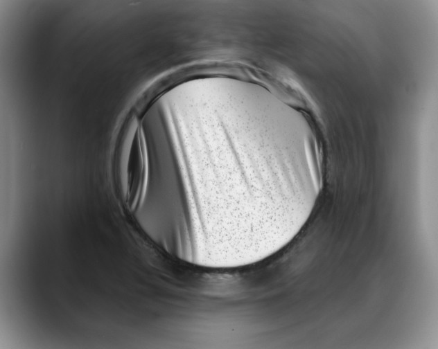 X0000088431320200706121443