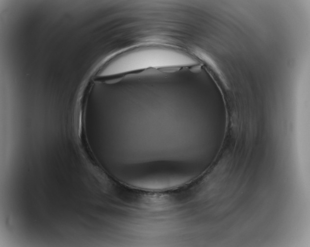 X0000088431323200706121443