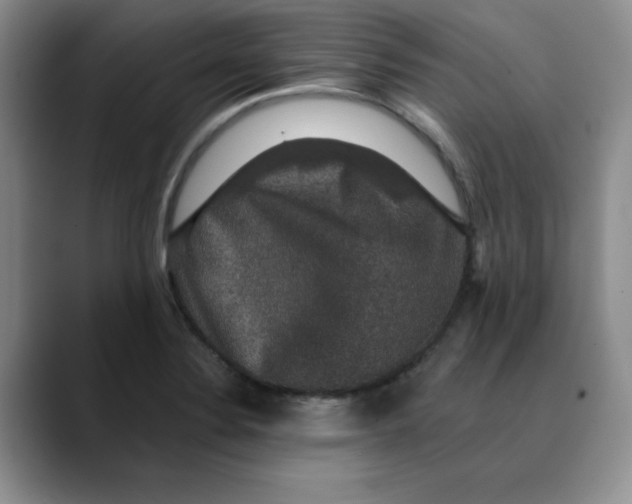 X0000088431324200706121443