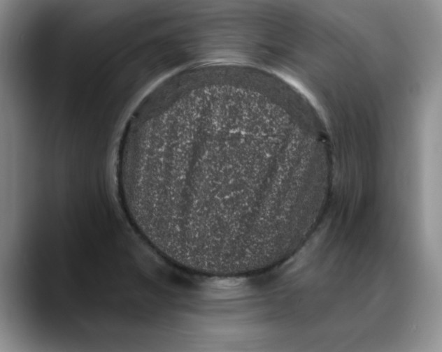 X0000088431325200706121443