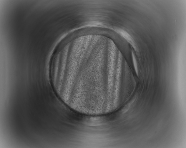 X0000088431326200706121443