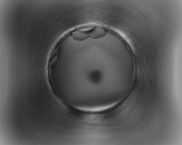 X0000088431327200706121443