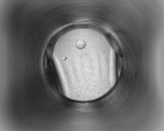 X0000088431328200706121443