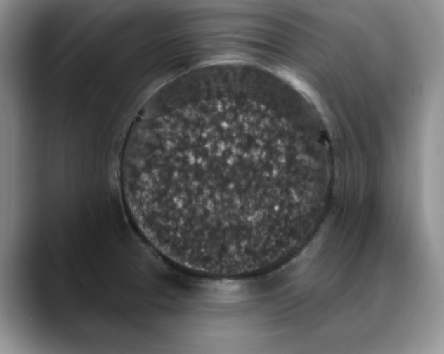 X0000088431329200706121444