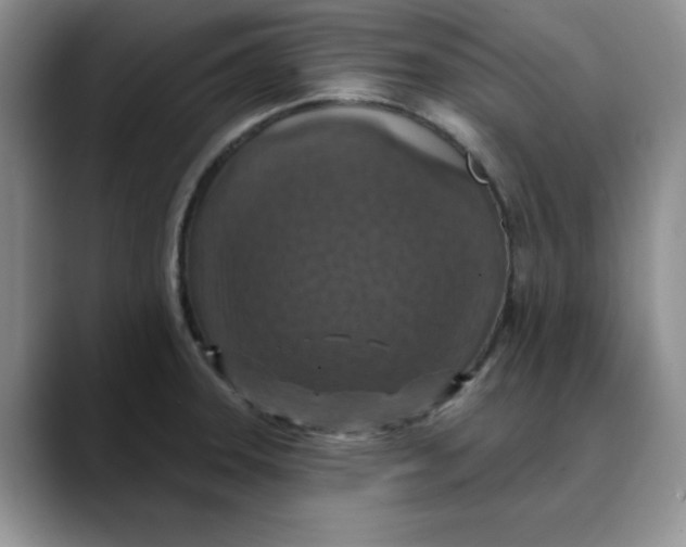 X0000088431331200706121444