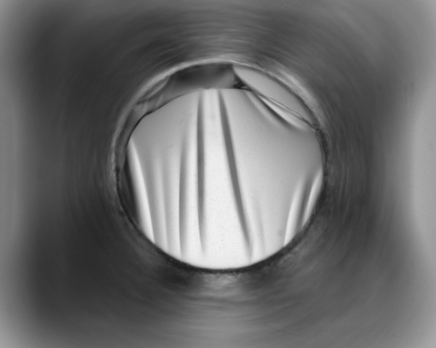 X0000088431332200706121444