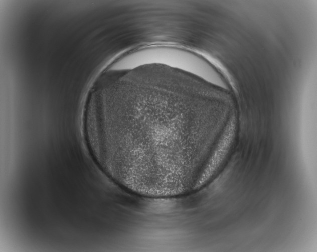 X0000088431333200706121444