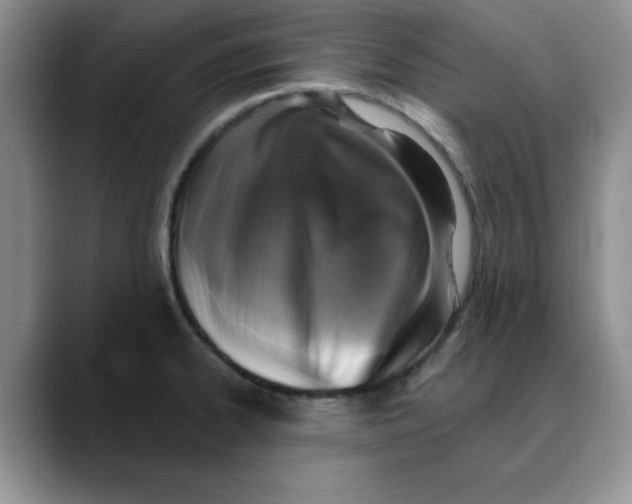 X0000088431334200706121444