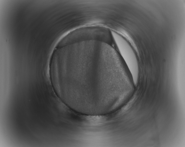 X0000088431336200706121444