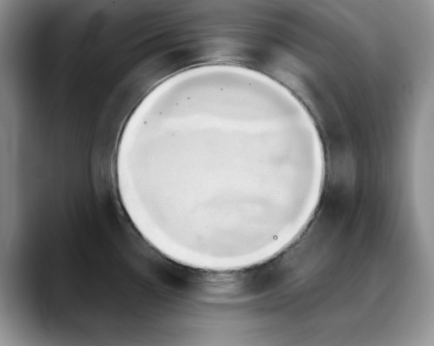 X0000088431338200706121444