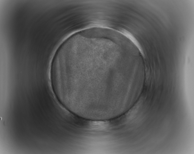 X0000088431339200706121444