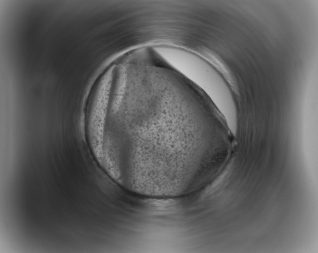 X0000088431340200706121444