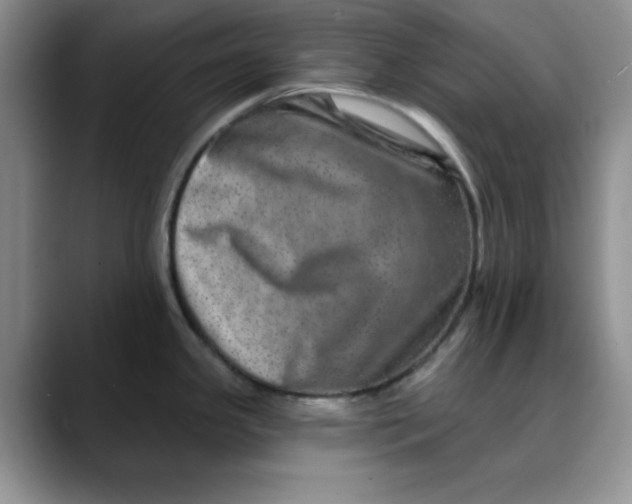 X0000088431341200706121444