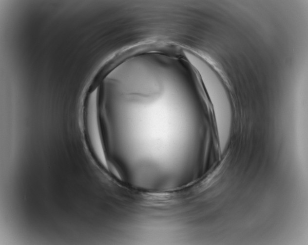 X0000088431342200706121444