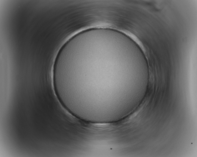 X0000088431343200706121444