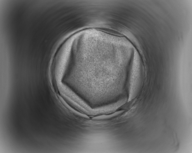 X0000088431344200706121444