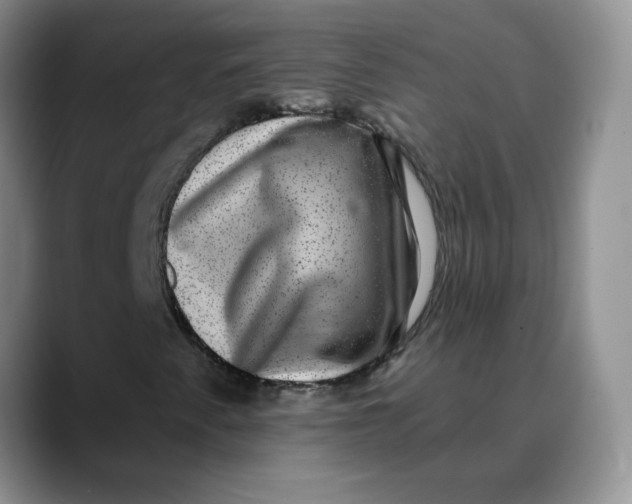 X0000088431345200706121443