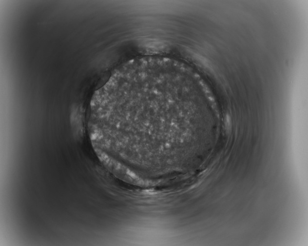 X0000088431346200706121443